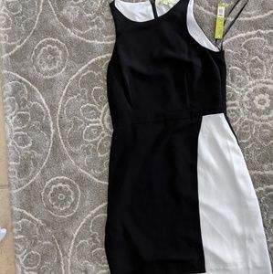 Gianni Bini Dress